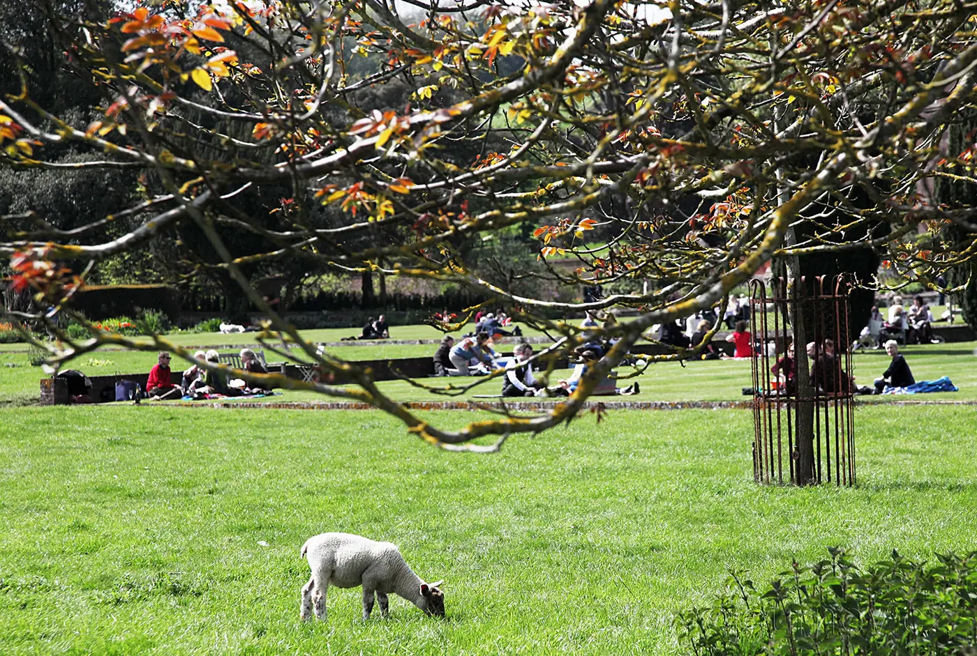 Glyndebourne – opera v přírodě. – fotografie 8
