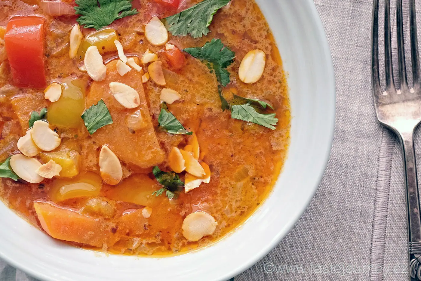 Británie pod nadvládou Indů? Jen v gastronomii! Recept na moderní indické kari – fotografie 3