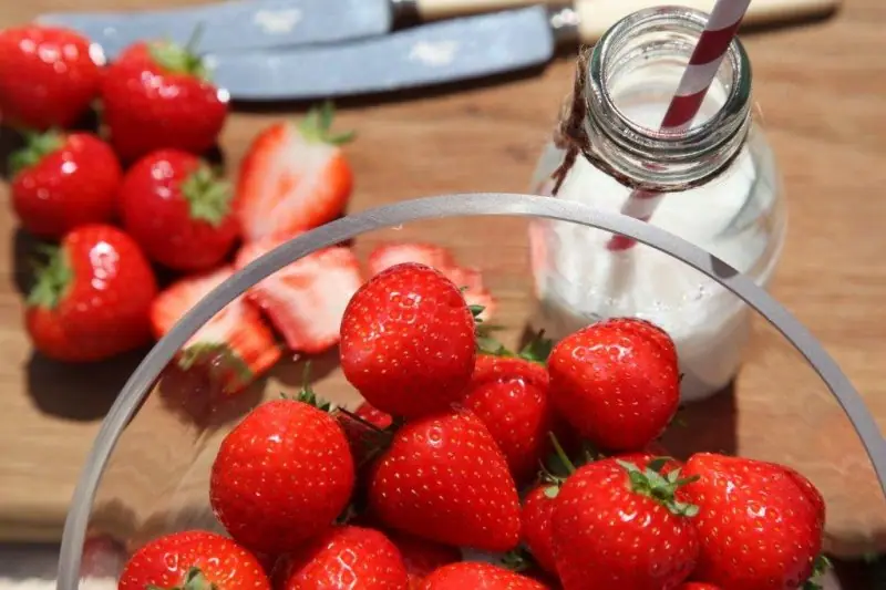 Jahodový cheesecake s bílou čokoládou – fotografie 4
