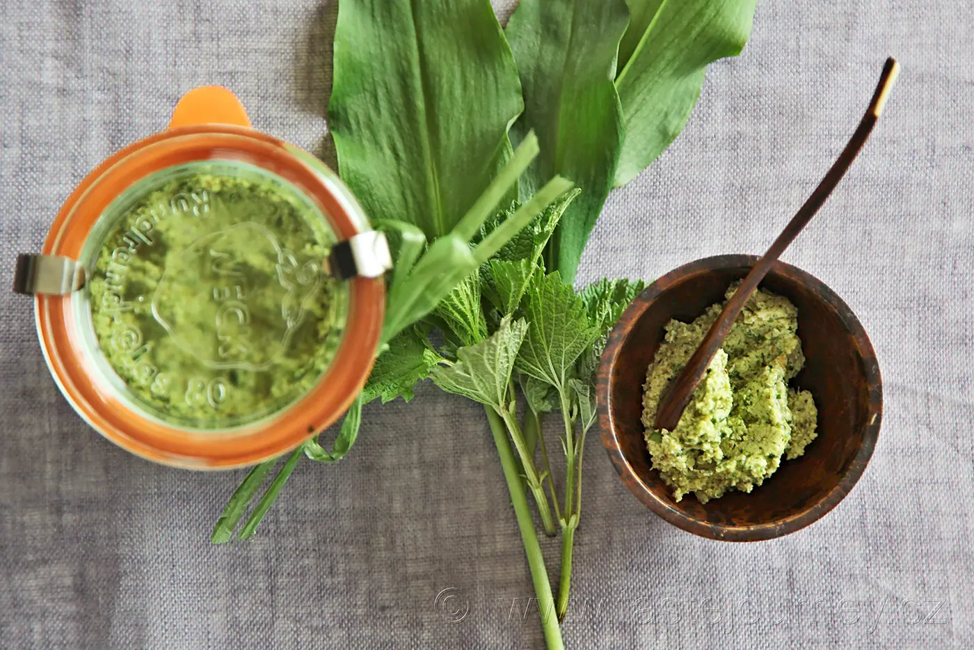 Pesto z medvědího česneku a mladých kopřiv