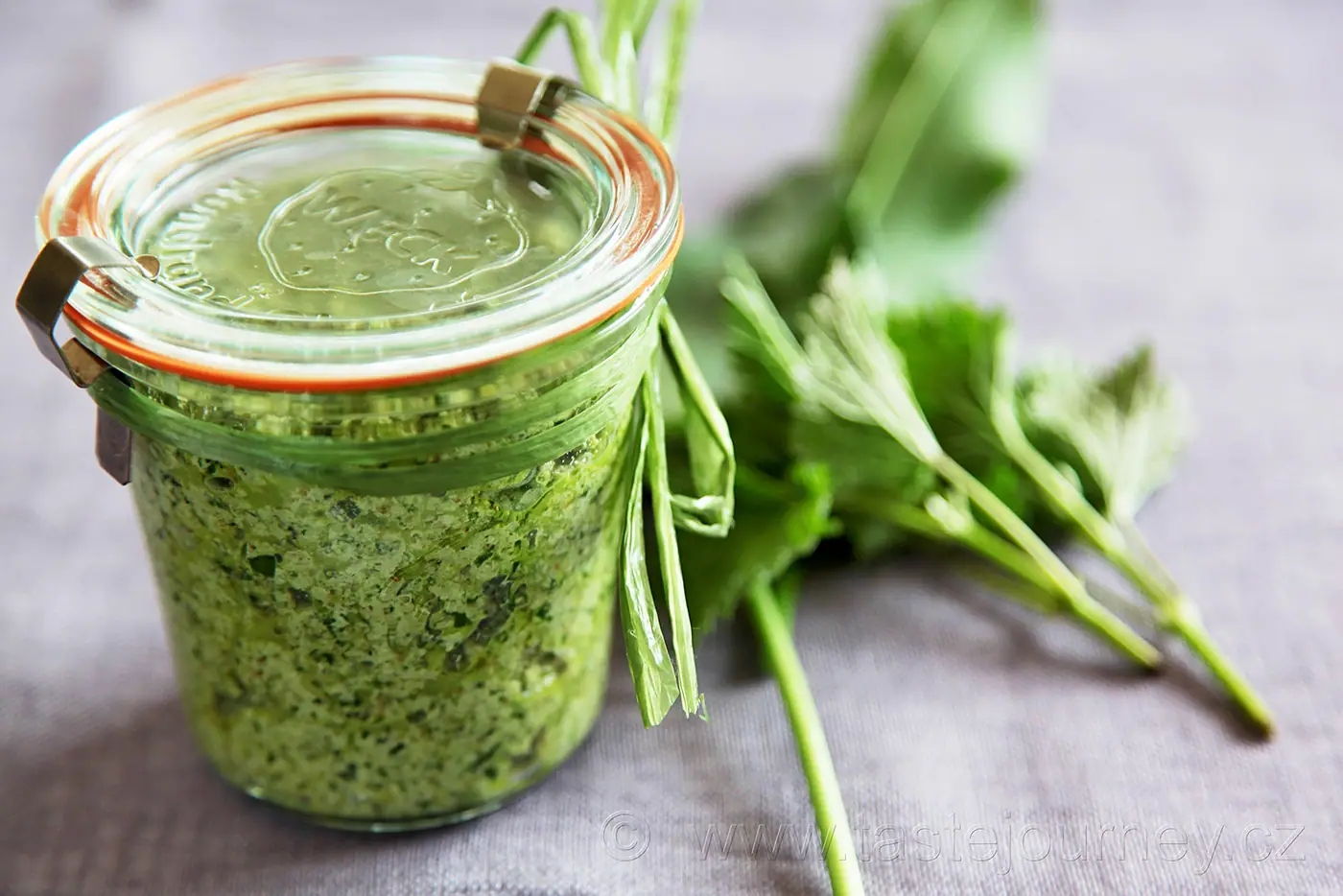 Pesto z medvědího česneku a mladých kopřiv – fotografie 3