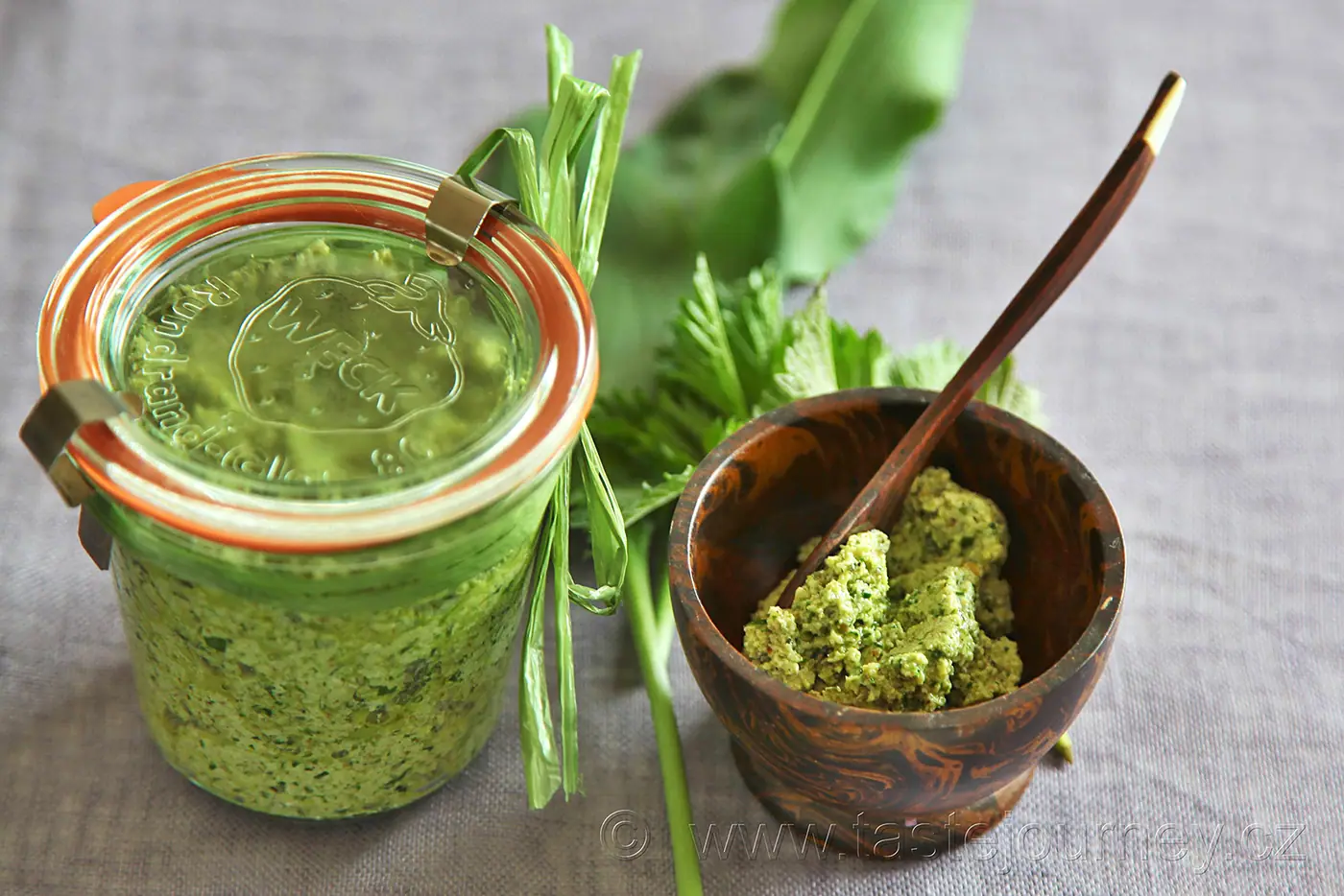 Pesto z medvědího česneku a mladých kopřiv – fotografie 4