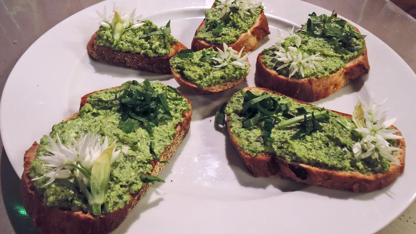 Pesto z medvědího česneku a mladých kopřiv – fotografie 5