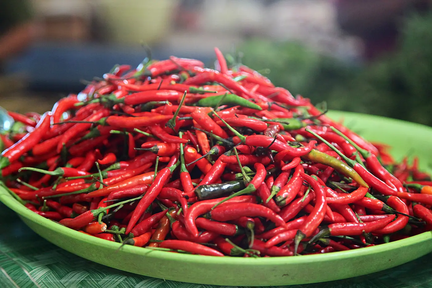 Portugalská viagra se jmenuje piri-piri – fotografie 10