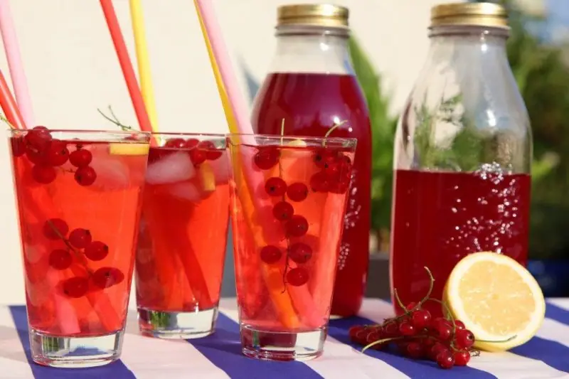 Rybízová limonáda – blahodárné účinky i skvělá chuť! – fotografie 3