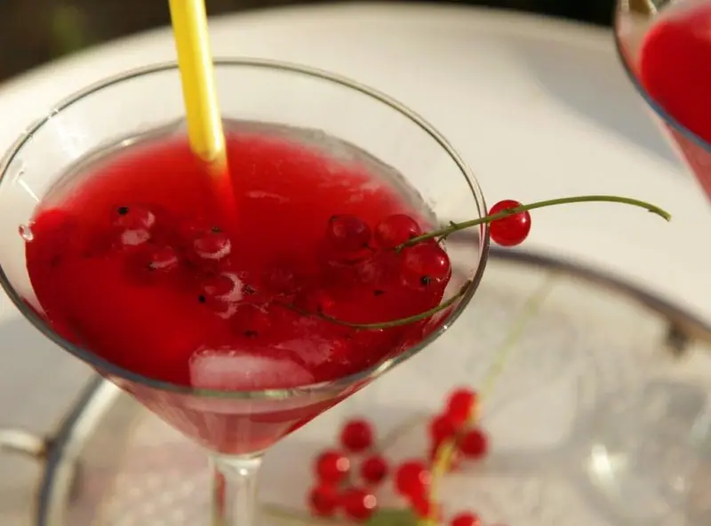 Rybízová limonáda – blahodárné účinky i skvělá chuť! – fotografie 5
