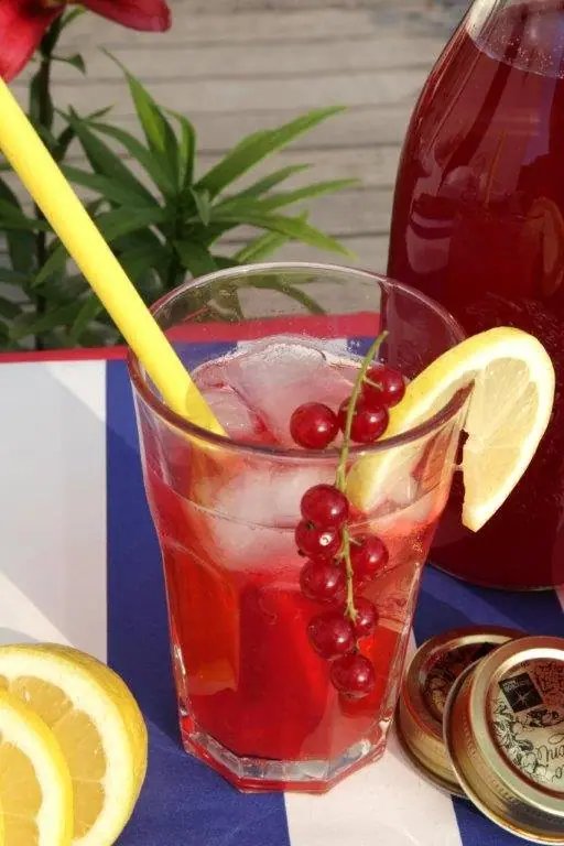 Rybízová limonáda – blahodárné účinky i skvělá chuť! – fotografie 6