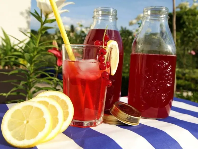 Rybízová limonáda – blahodárné účinky i skvělá chuť! – fotografie 7