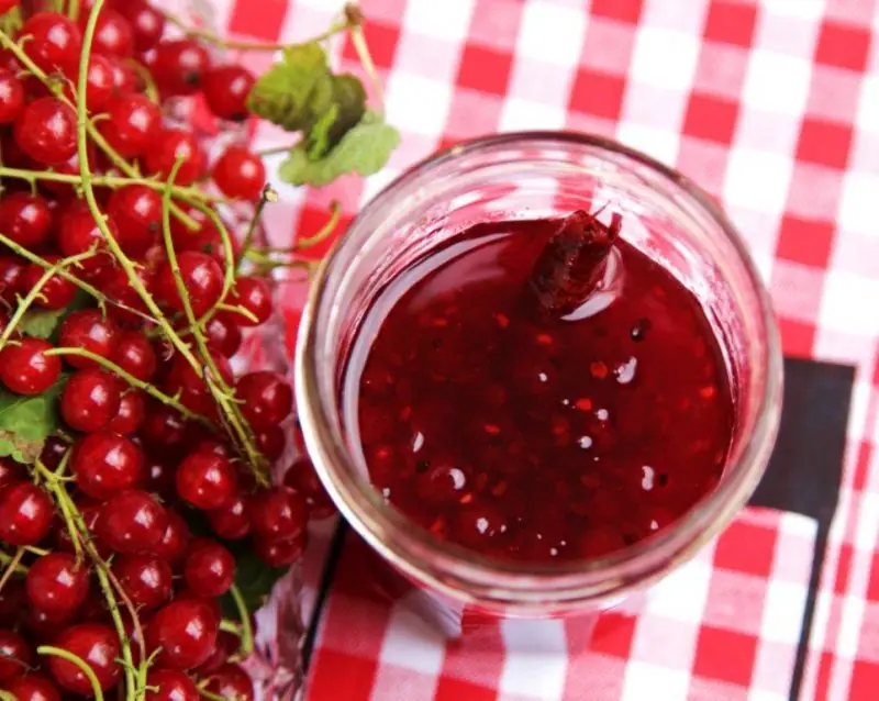 Rybízová pochoutka s rumem, skořicí a vanilkou – fotografie 1