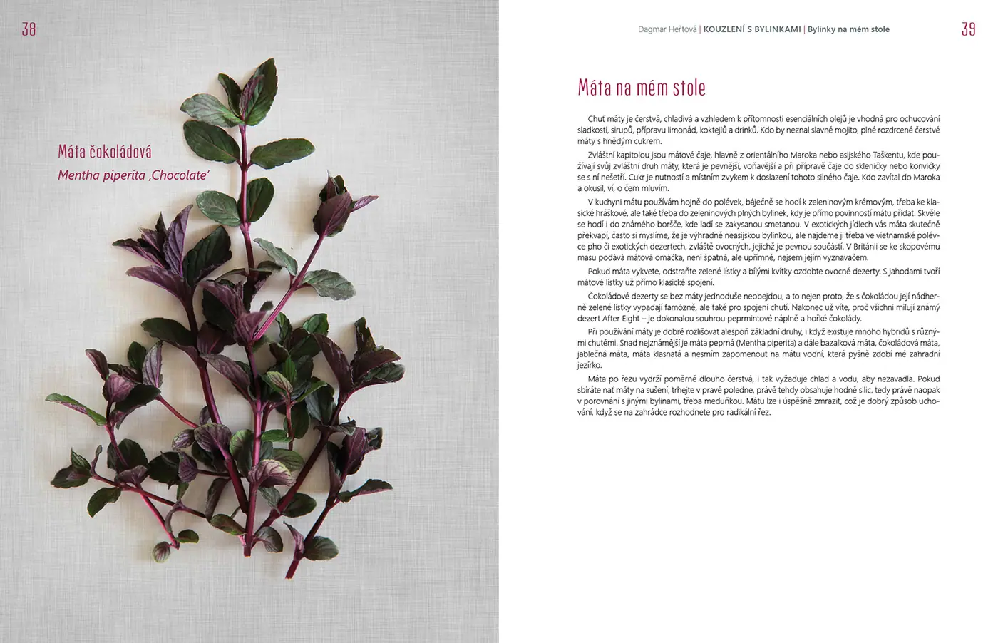 Taste Journey – fotografie 58